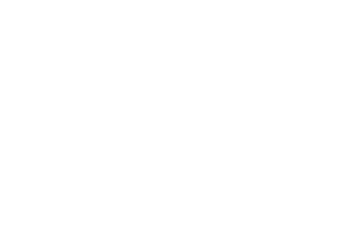 Sul Brasil Representações